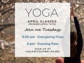 Spring Yoga! Classes resume on Tuesday, April 14th